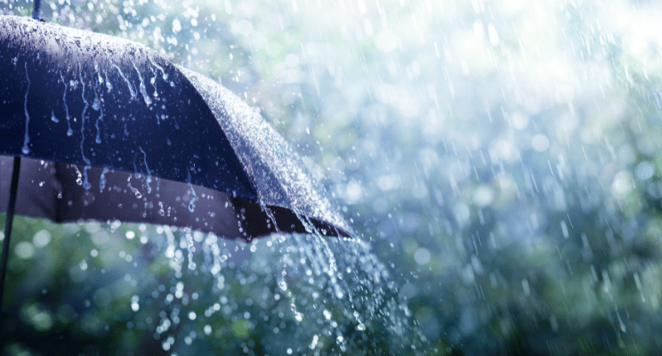 rain falling on an umbrella